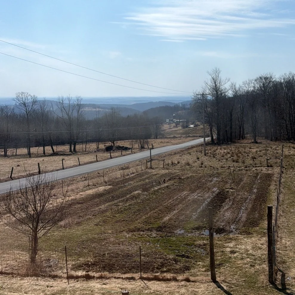 March views! Brown but promising! 🌱