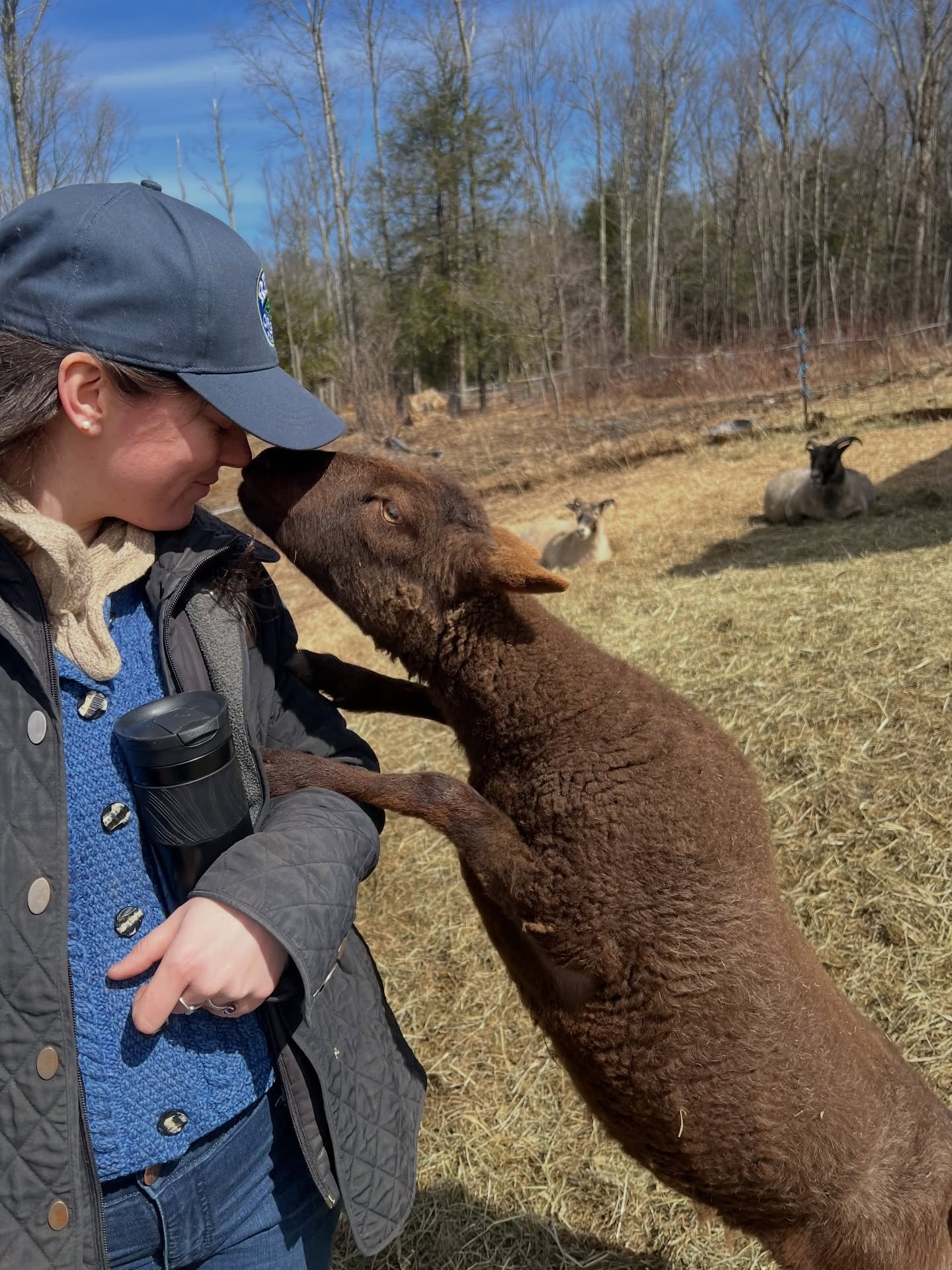 Nose boop! It&rsquo;s March on the farm and there is a lot going on, but there&rsquo;s nothing like a little sheep love on a sunny day!