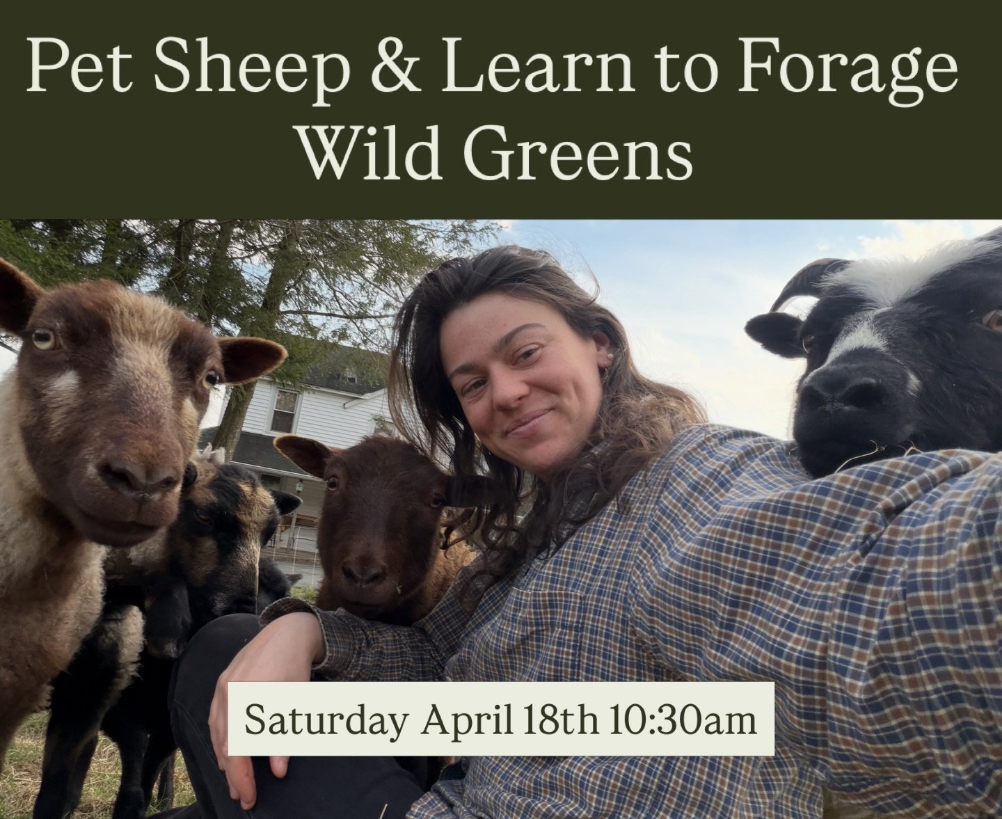 Join us to forage wild greens and pet the sheep! (Sorry no lambs have been born yet)

Participants can learn how to harvest and utilize dandelion greens 🌱

Suggested donation for the event is $10 per person. Funds go towards growing vegetables for t