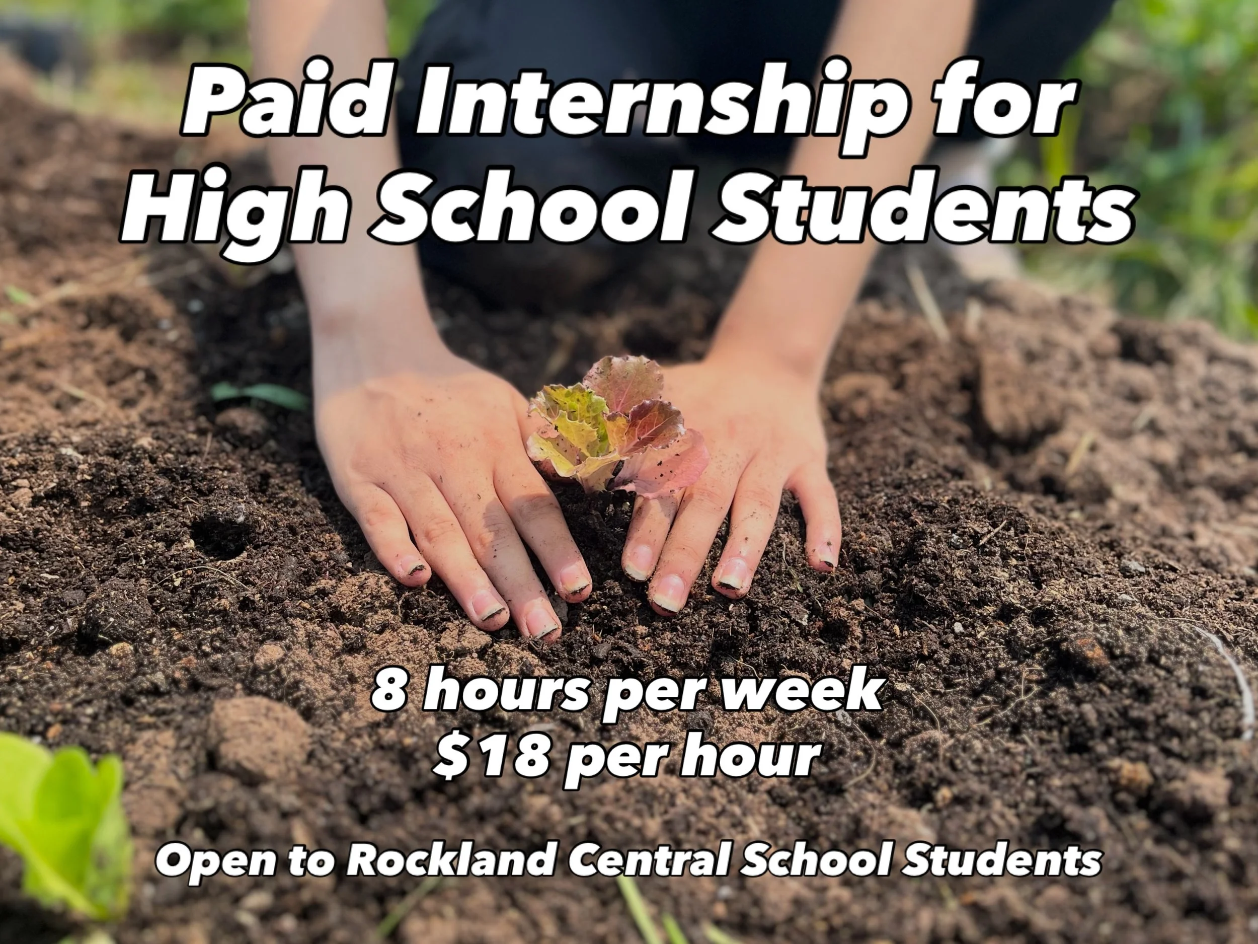 Gael Roots, a community-based farm in Livingston Manor, is looking for motivated and passionate high school students to join our Farm Internship Program for summer 2026. This opportunity is ideal for students who are interested in agriculture, enviro