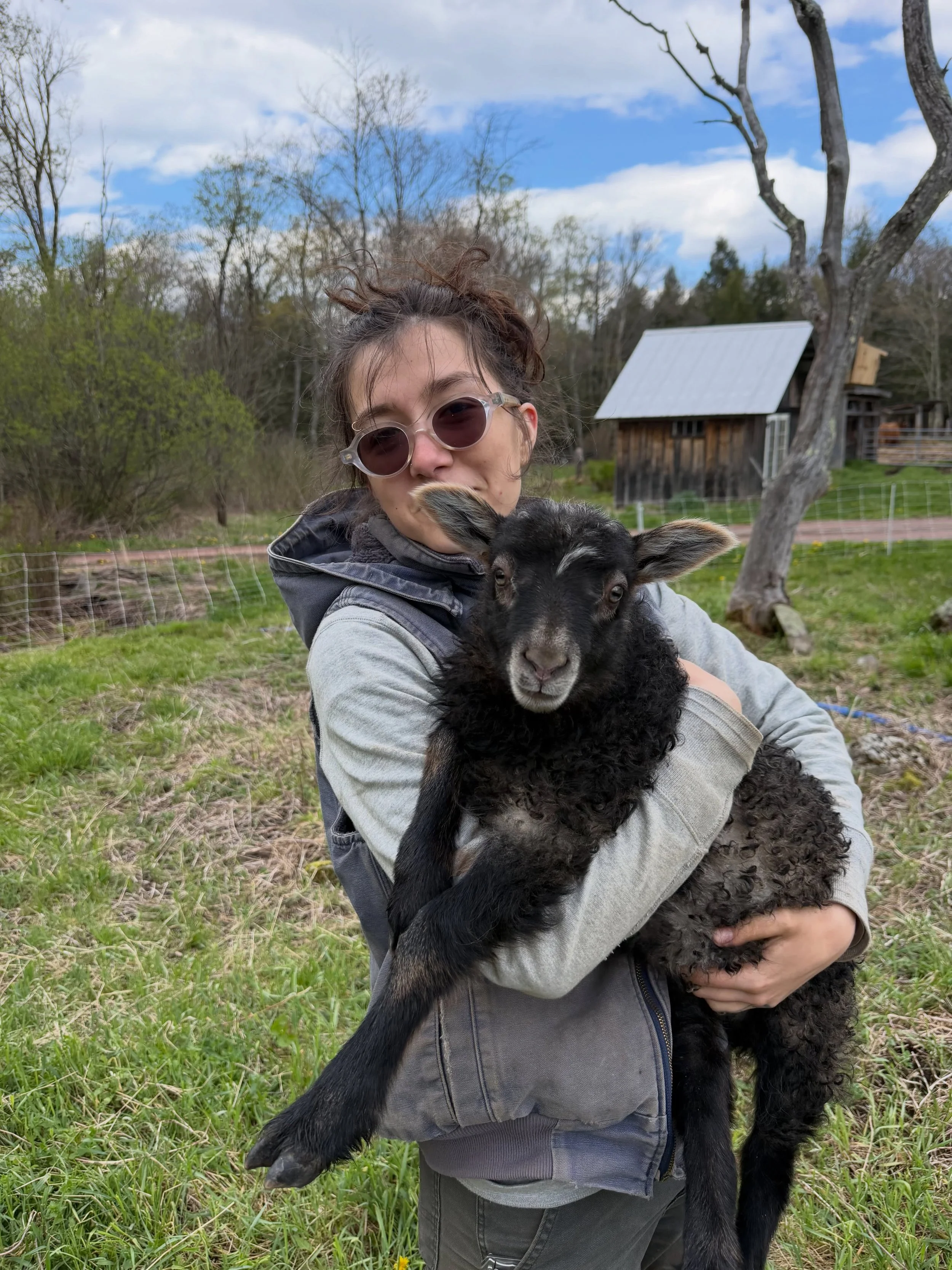 Meet our New Seasonal Field Manager, Jojo Attal! 
We are thrilled to welcome Jojo Attal to Gael Roots for the season as our new Field Manager! Jojo comes to us after spending three years working on different agricultural operations across the state, 
