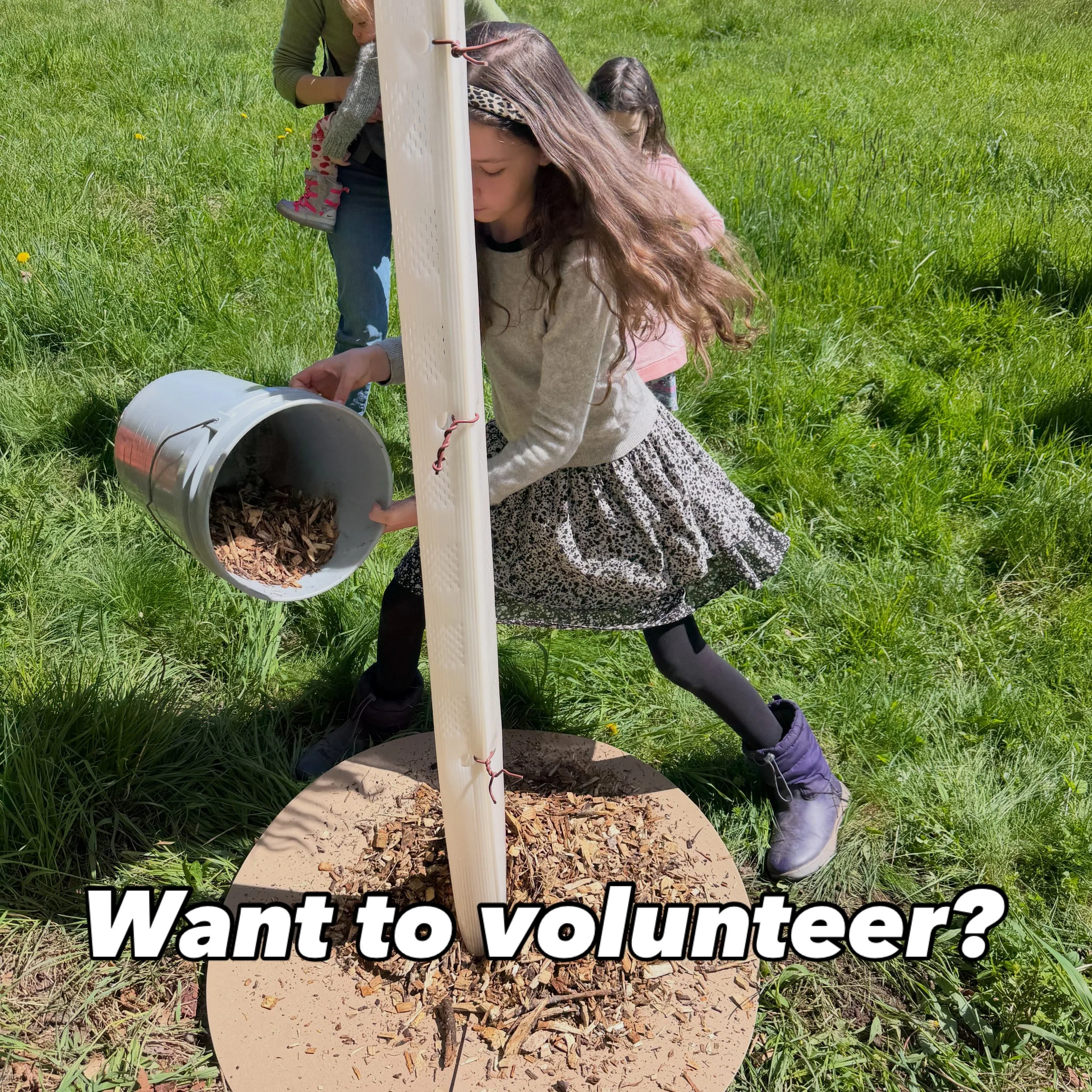 We&rsquo;ll have out second Meet &amp; Greet on Saturday June 6th from 9:30 - 11:30am.  If you&rsquo;ve thought about getting involved with Gael Roots Community Farm, we welcome you to join us to learn about our projects to build community around agr