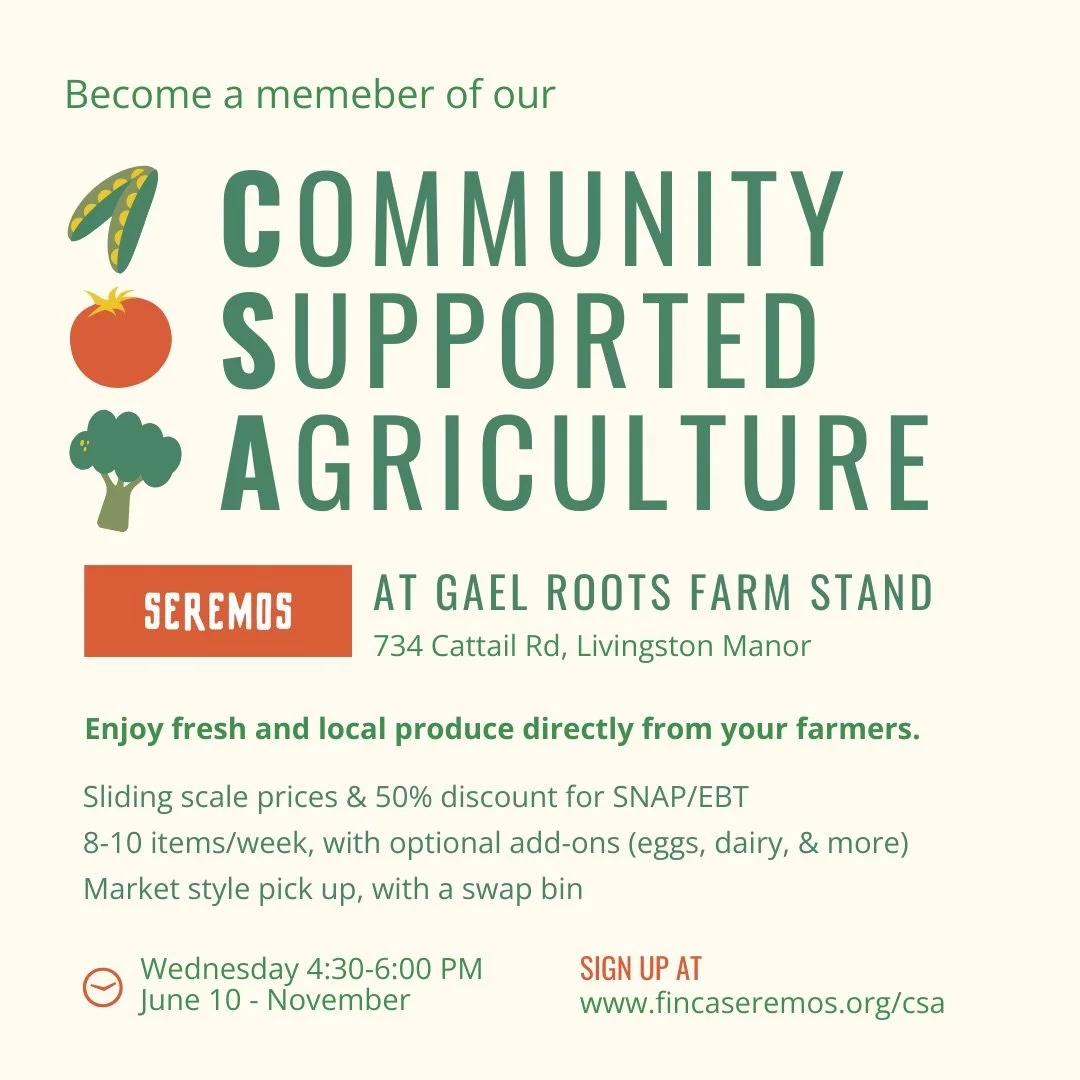 Gael Roots Community Farm is collaborating with Finca Seremos and the 607 CSA to host a weekly market style CSA pick up at Gael Roots&rsquo; Farm Stand on Wednesdays from 4:30-6pm, June 10th through November, 2026!

The first CSA is scheduled for Jun