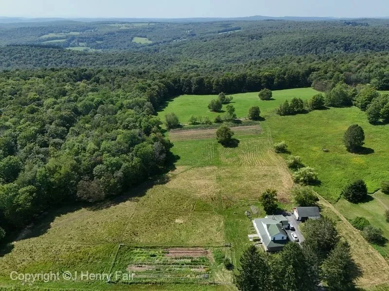 Henry Fair Drone pic.jpeg