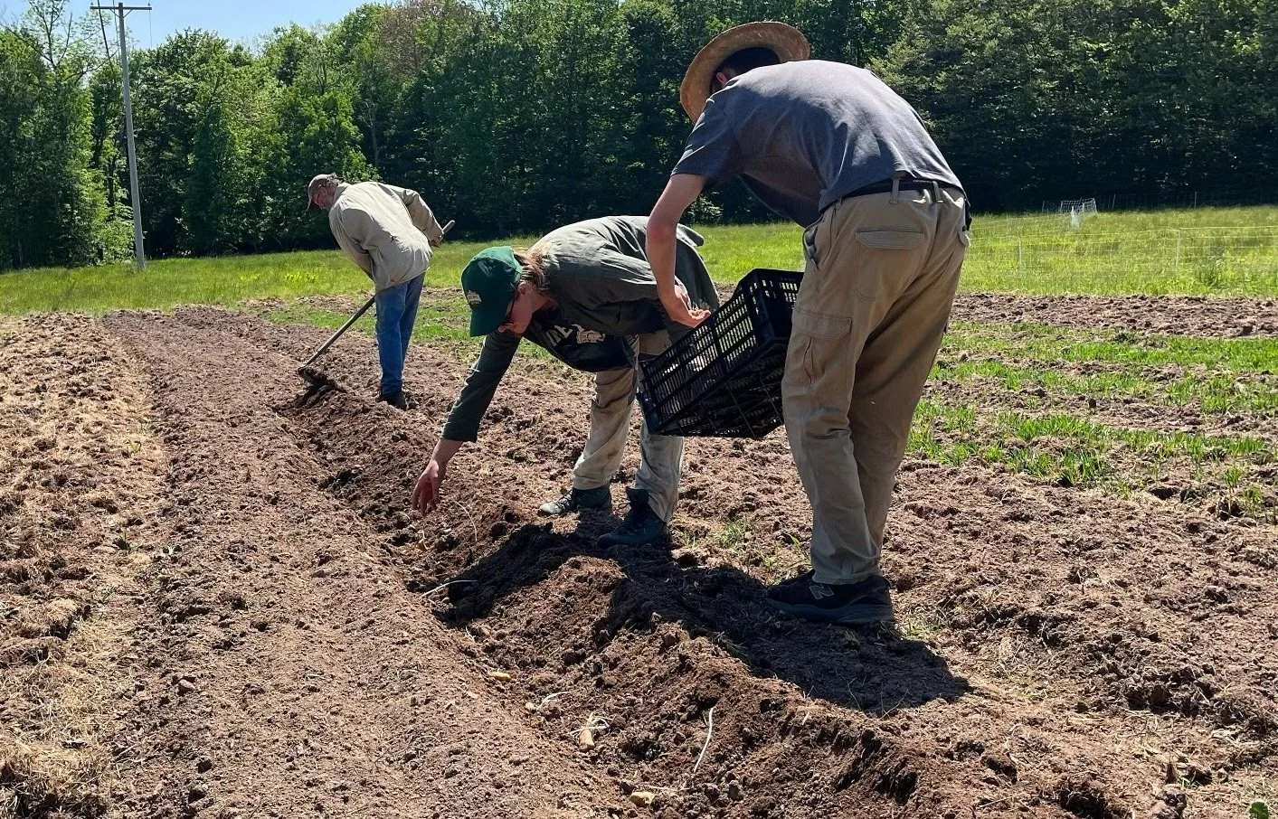 Volunteer in the Garden with Jojo