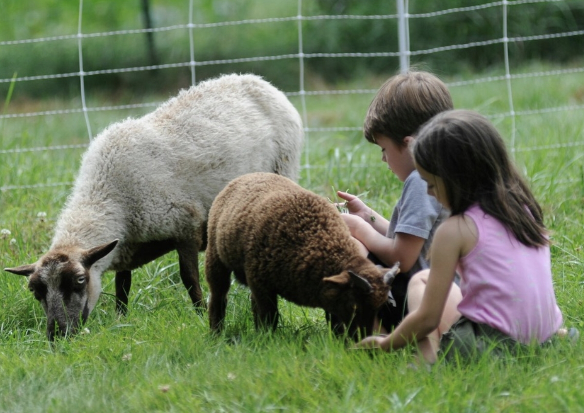 Free Farm Tour