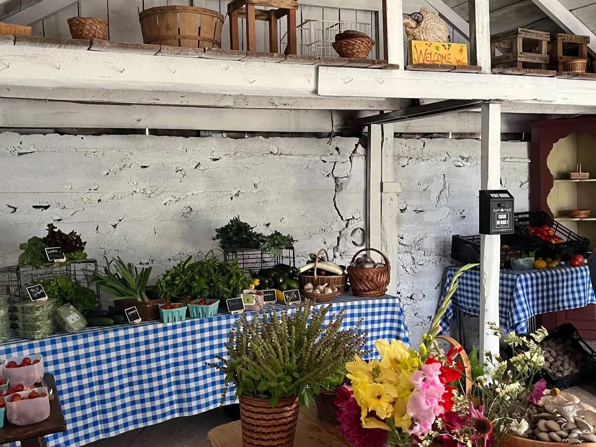 Gael Roots’ Pay-What-You-Can Farm Stand