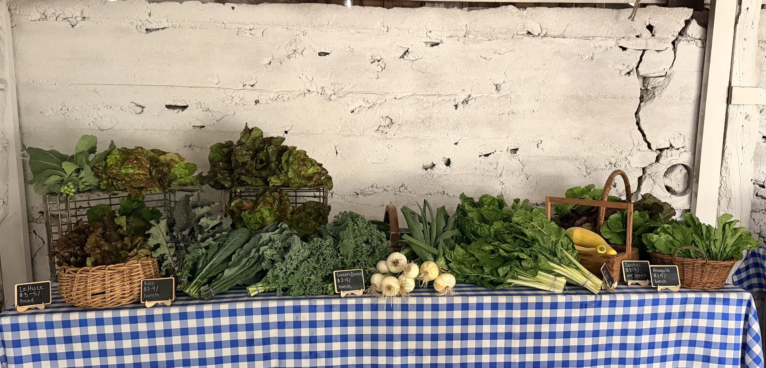 Gael Roots’ Pay-What-You-Can Farm Stand