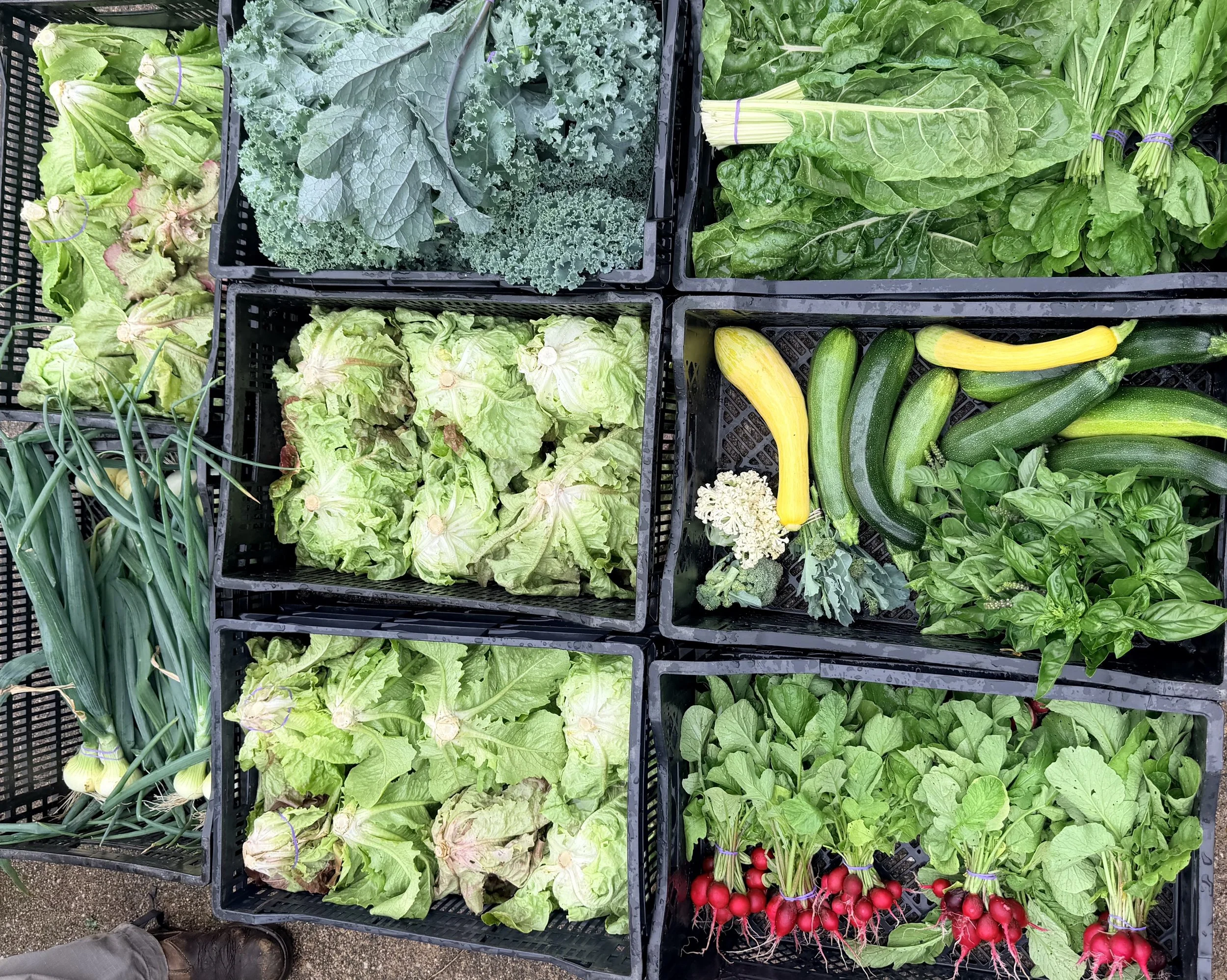Gael Roots’ Pay-What-You-Can Farm Stand