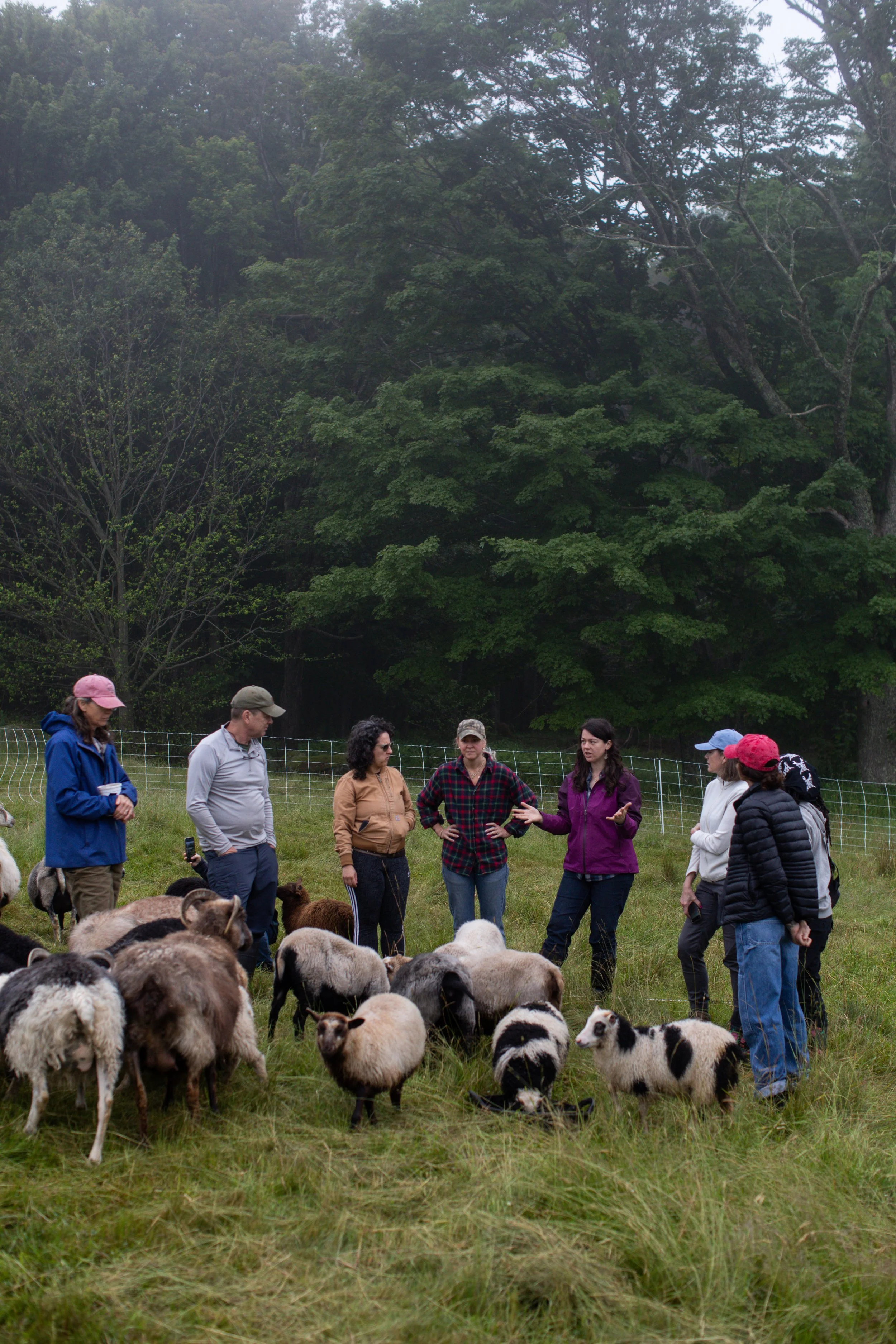 Iris teaching Raising Sheep 101 Workshop 