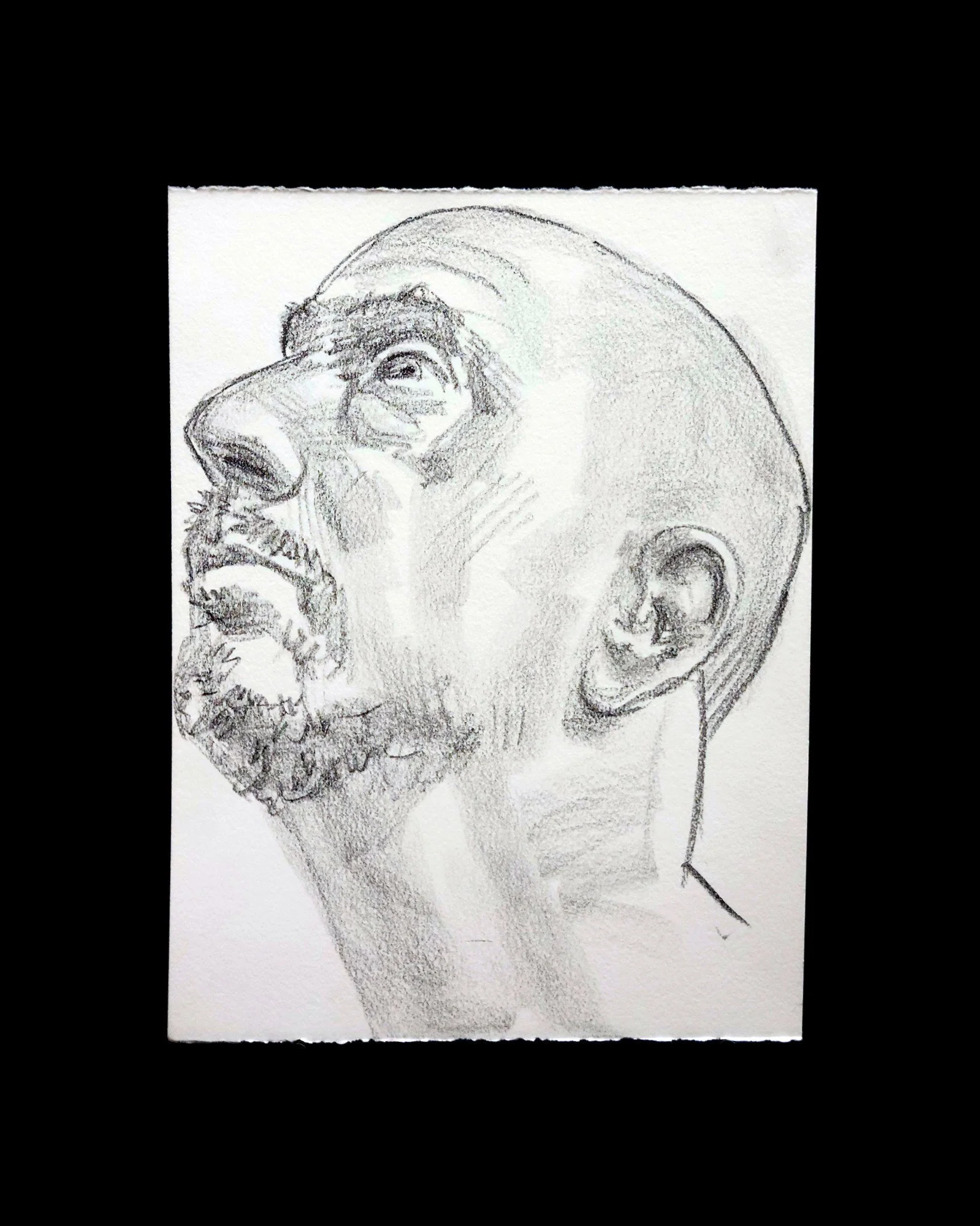 Self Portrait (Head Study, Looking Left and Up), 9x12 inches, crayon on Rives BFK, by Kenney Mencher