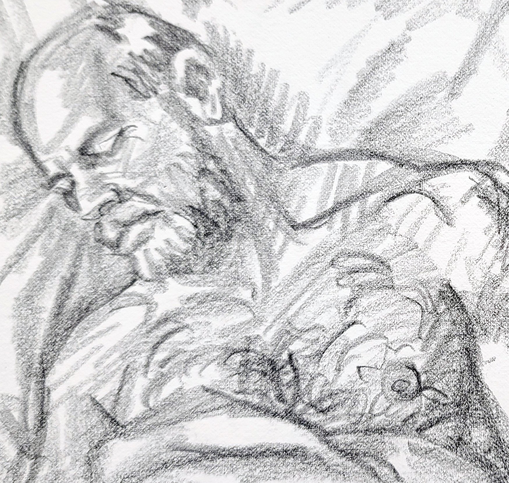 Sleeper, Senior White Bear, 9x12 inches, crayon on Rives BFK, by Kenney Mencher dtl.jpg
