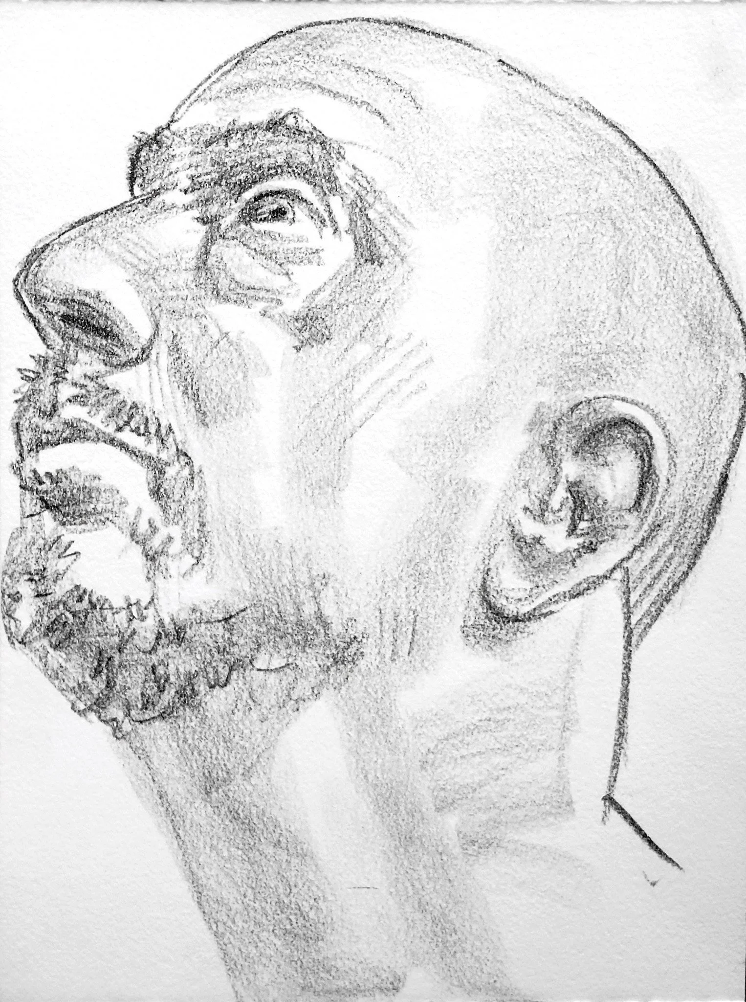 Self Portrait, (Head Study, Looking Left and Up) 9x12 inches, crayon on Rives BFK, by Kenney Mencher   .jpg