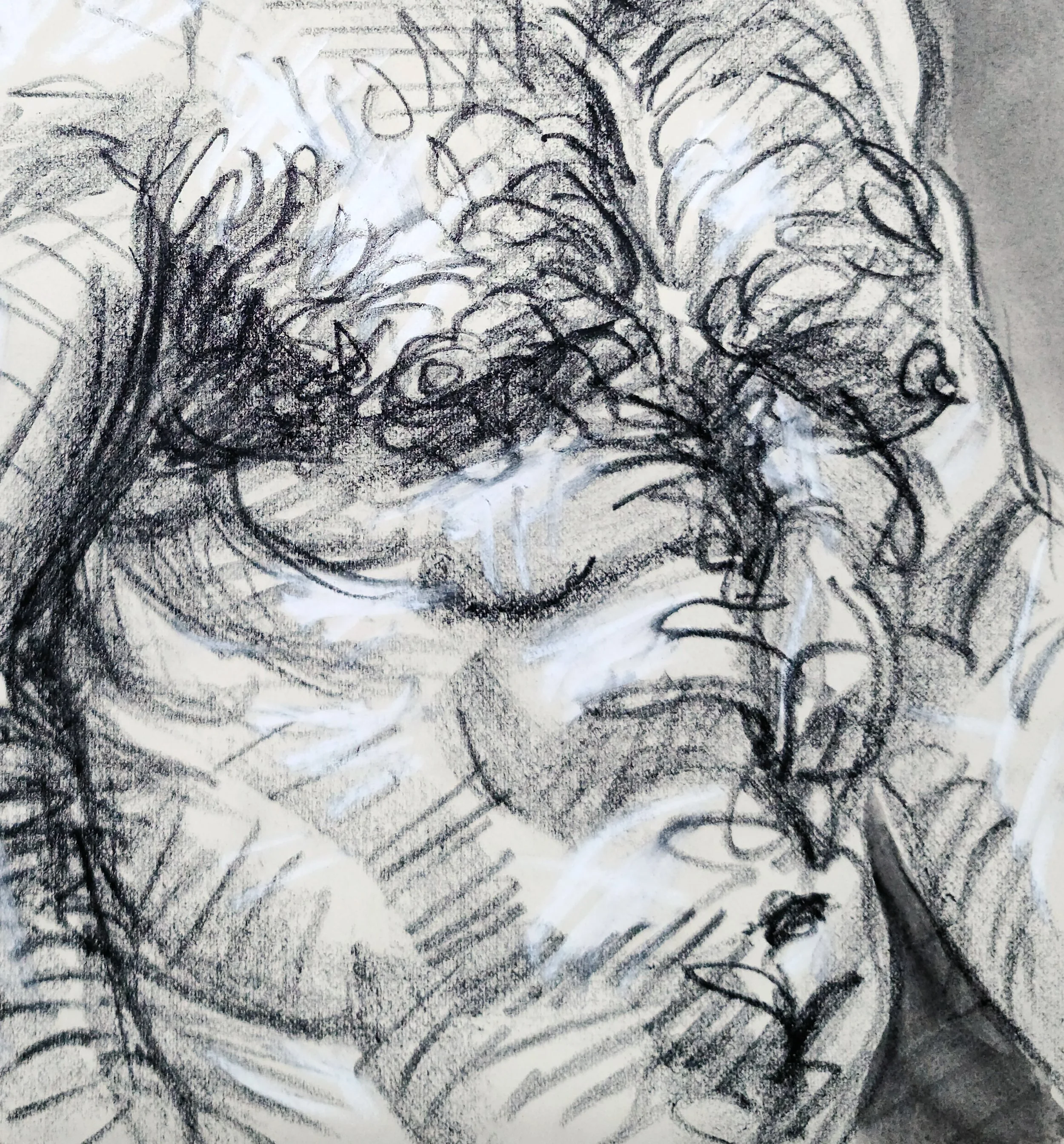 Bear Looking Downward, 9x12 inches, crayon and watercolor on Rives BFK, by Kenney Mencher closeup2.jpg