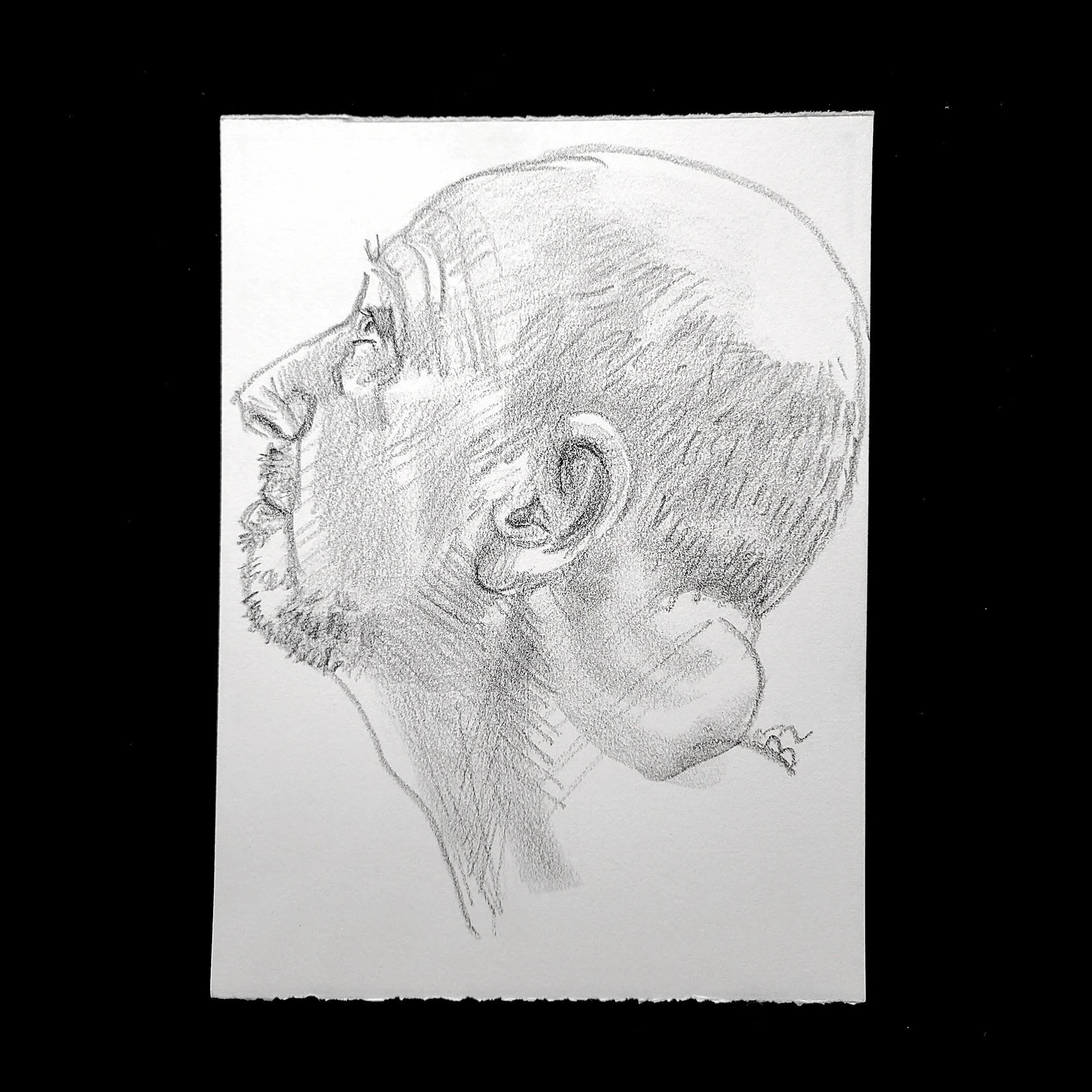 Self Portrait, (Head Study, Looking Left) 9x12 inches, crayon on Rives BFK, by Kenney Mencher Etsy.jpg