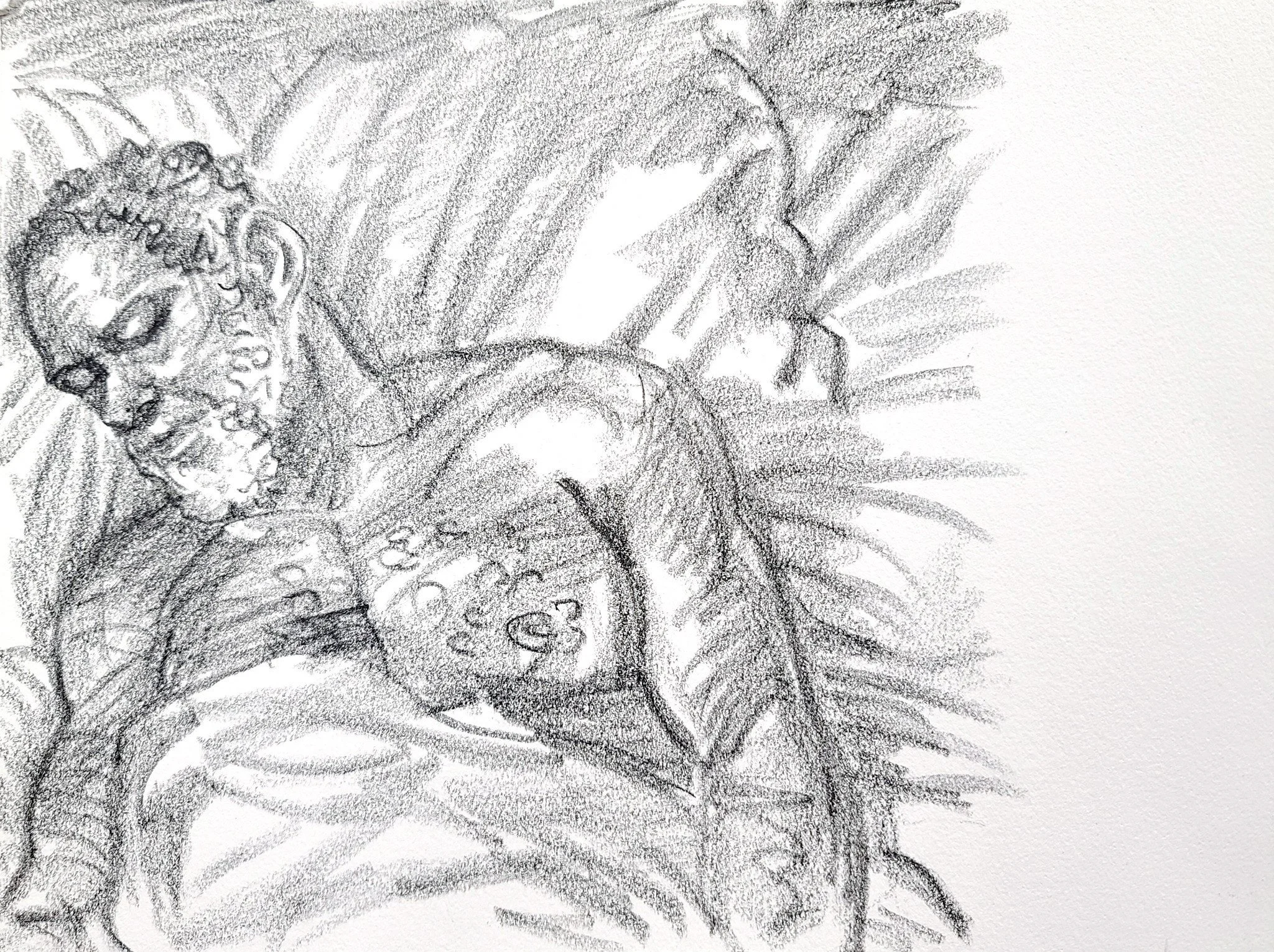 Sleeper, Senior Man 1 (2).jpg