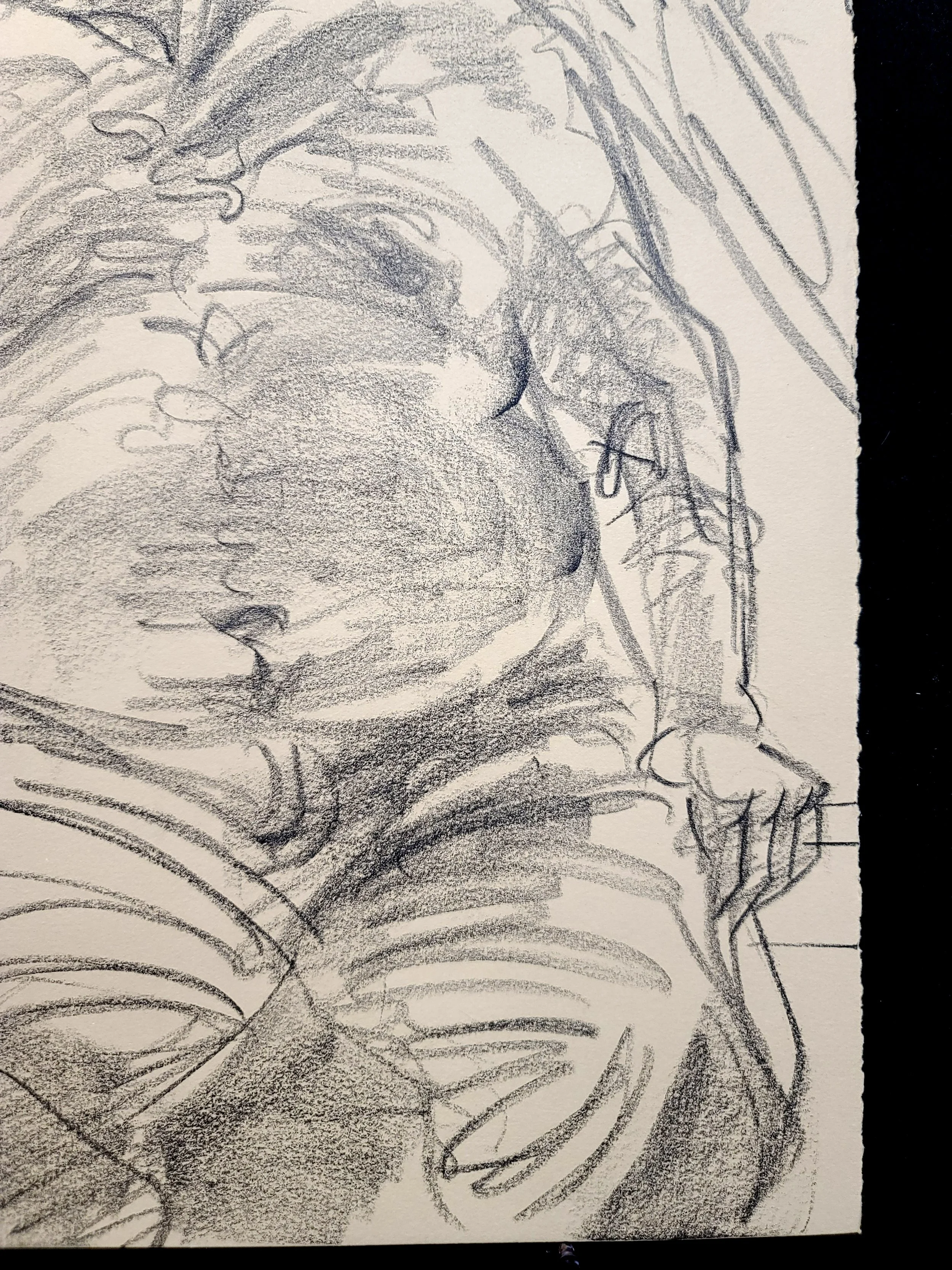 Bear Framed in a Window, 22x16 inches, crayon on paper, by Kenney Mencher (1).jpg