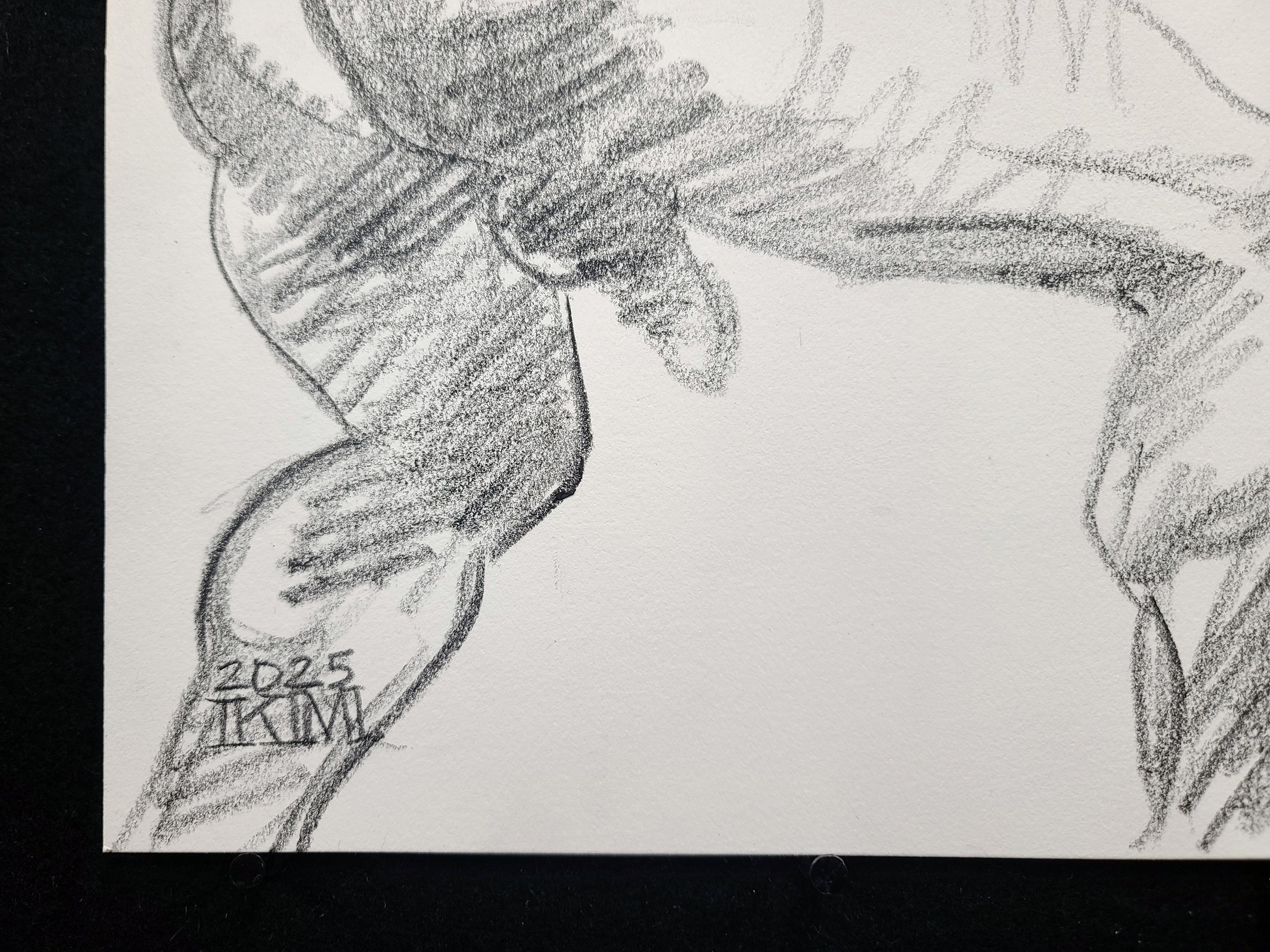 A Man of Action, 11x14 inches, crayon on Rives BFK by Kenney Mencher (5).jpg