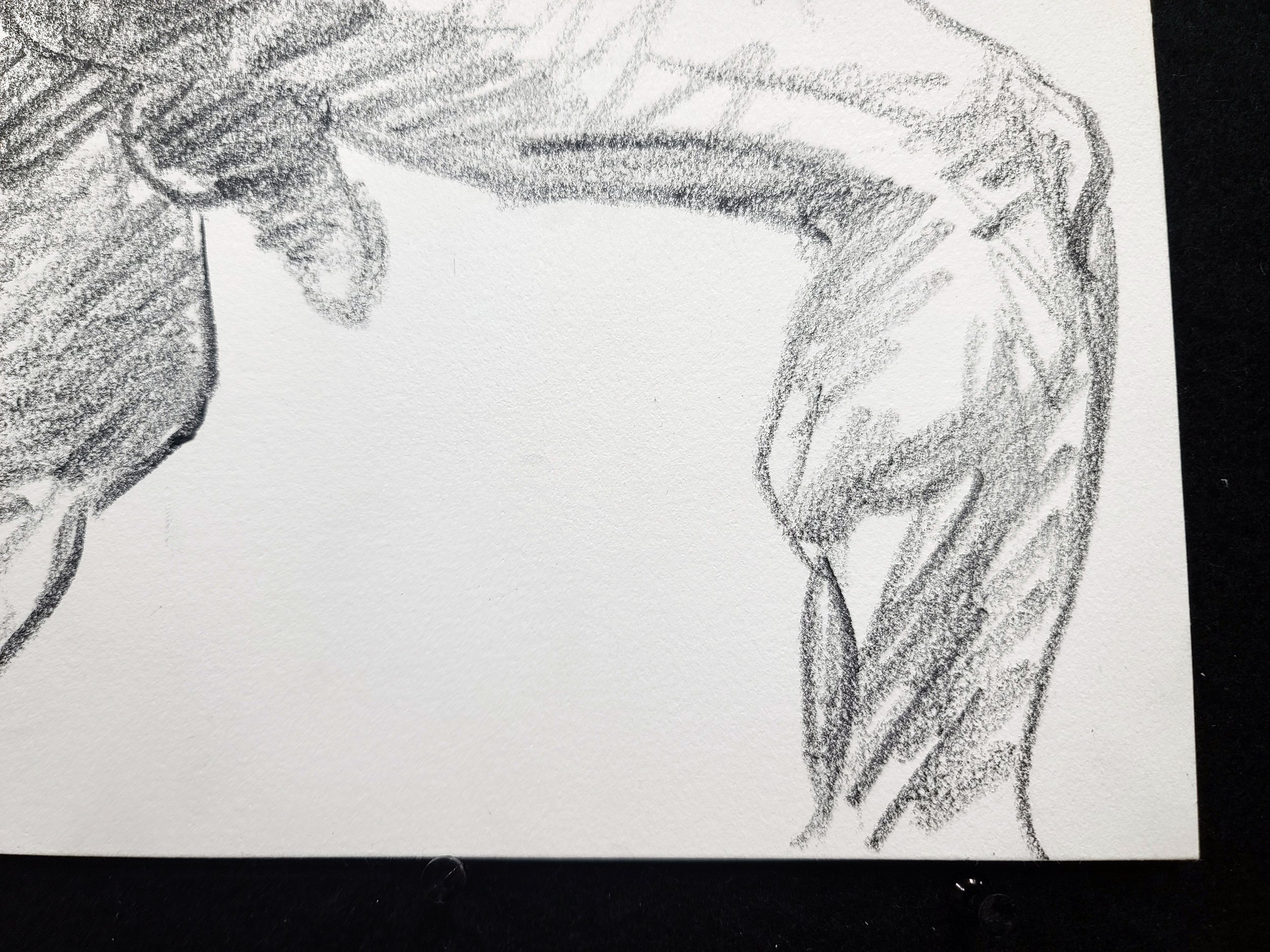 A Man of Action, 11x14 inches, crayon on Rives BFK by Kenney Mencher (6).jpg