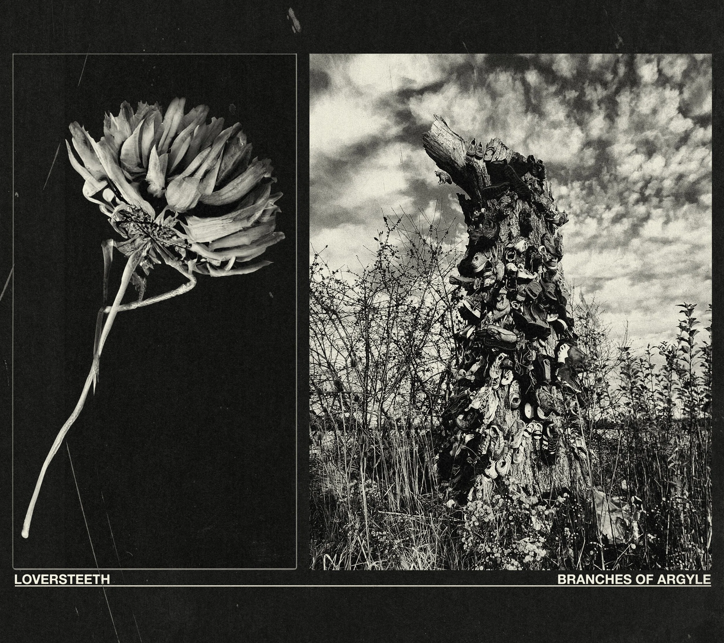 Loversteeth Branches-Of-Argly-Single-Art-Dristro.jpeg