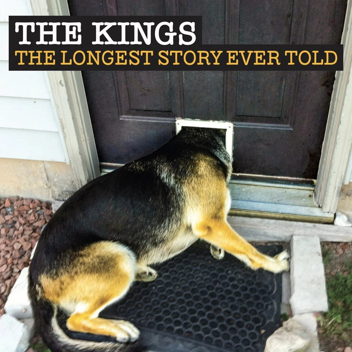 the kings longest story.jpeg