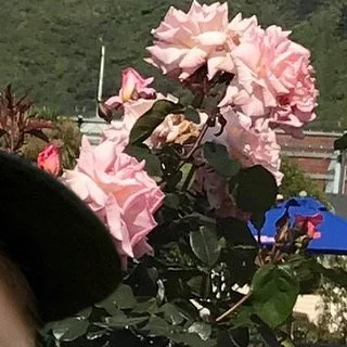 leroy.ttf [2020-09-04T20ː21ː51.000Z] CEulRxUHvD7.jpg