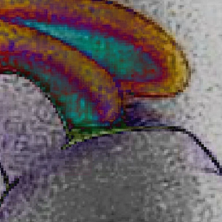 leroy.ttf [2021-01-28T23ː54ː49.000Z] CKm5tY8H-ys.jpg