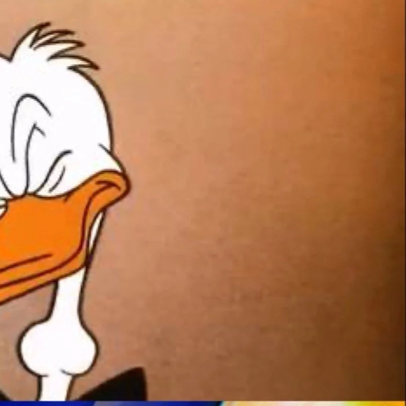 leroy.ttf [2021-02-01T16ː13ː28.000Z] CKwYFzxnM-j.jpg