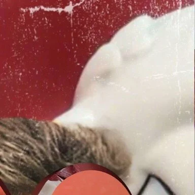 leroy.ttf [2020-07-19T15ː18ː31.000Z] CC1BM9Tn-ht.jpg