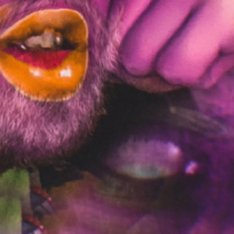 leroy.ttf [2021-01-28T23ː55ː21.000Z] CKm5xOUnf9r.jpg