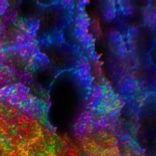 leroy.ttf [2020-12-03T16ː13ː53.000Z] CIV4cUjH90d.jpg