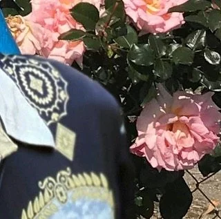 leroy.ttf [2020-09-04T20ː21ː23.000Z] CEulOVnnvKt.jpg