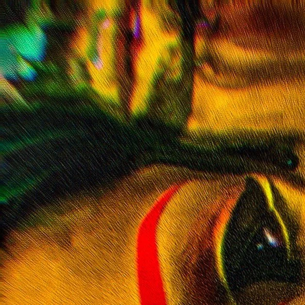 leroy.ttf [2021-02-06T22ː28ː49.000Z] CK97BYpHb2H.jpg