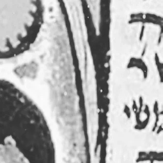 leroy.ttf [2020-07-16T18ː40ː35.000Z] CCtp8YunQjG.jpg