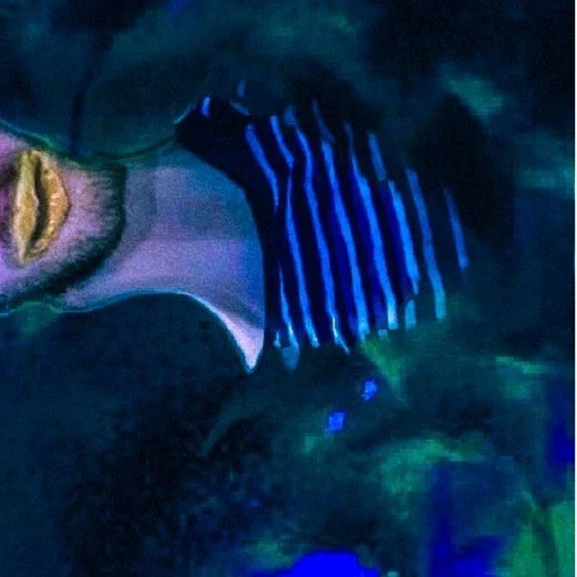 leroy.ttf [2021-01-13T13ː03ː30.000Z] CJ_HPzUnVYe.jpg