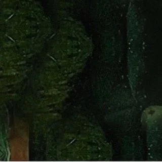 leroy.ttf [2020-12-04T13ː14ː58.000Z] CIYIwyunS-E.jpg