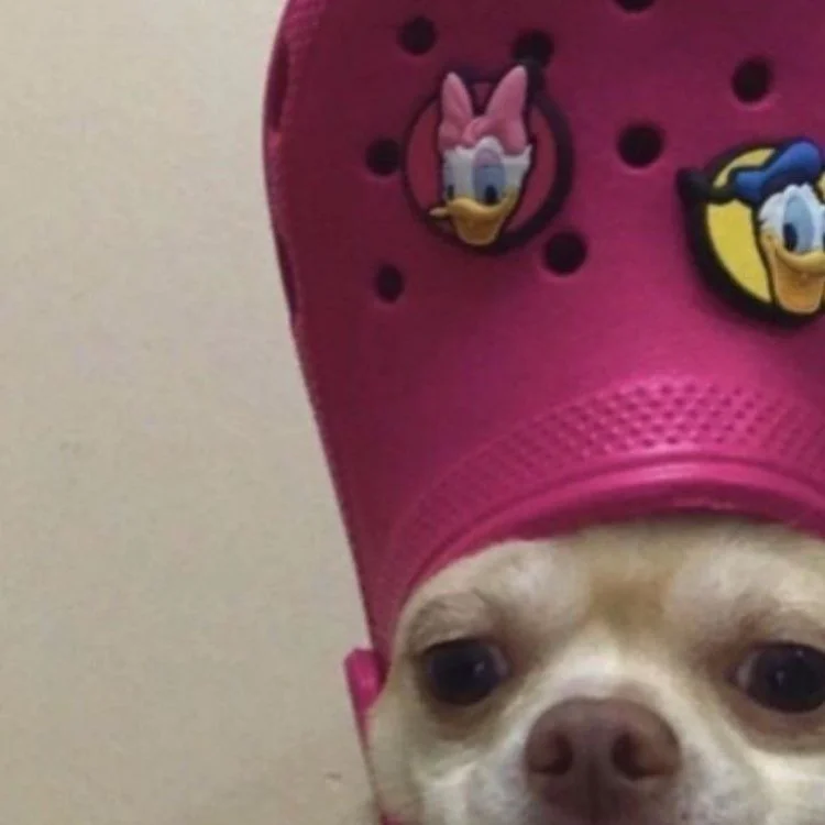 leroy.ttf [2020-06-19T22ː54ː24.000Z] CBolhuJHzD2.jpg