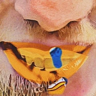 leroy.ttf [2020-08-17T20ː44ː54.000Z] CEARm0pHpK9.jpg