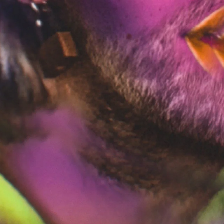 leroy.ttf [2021-01-29T10ː28ː59.000Z] CKoCSGAnCpz.jpg