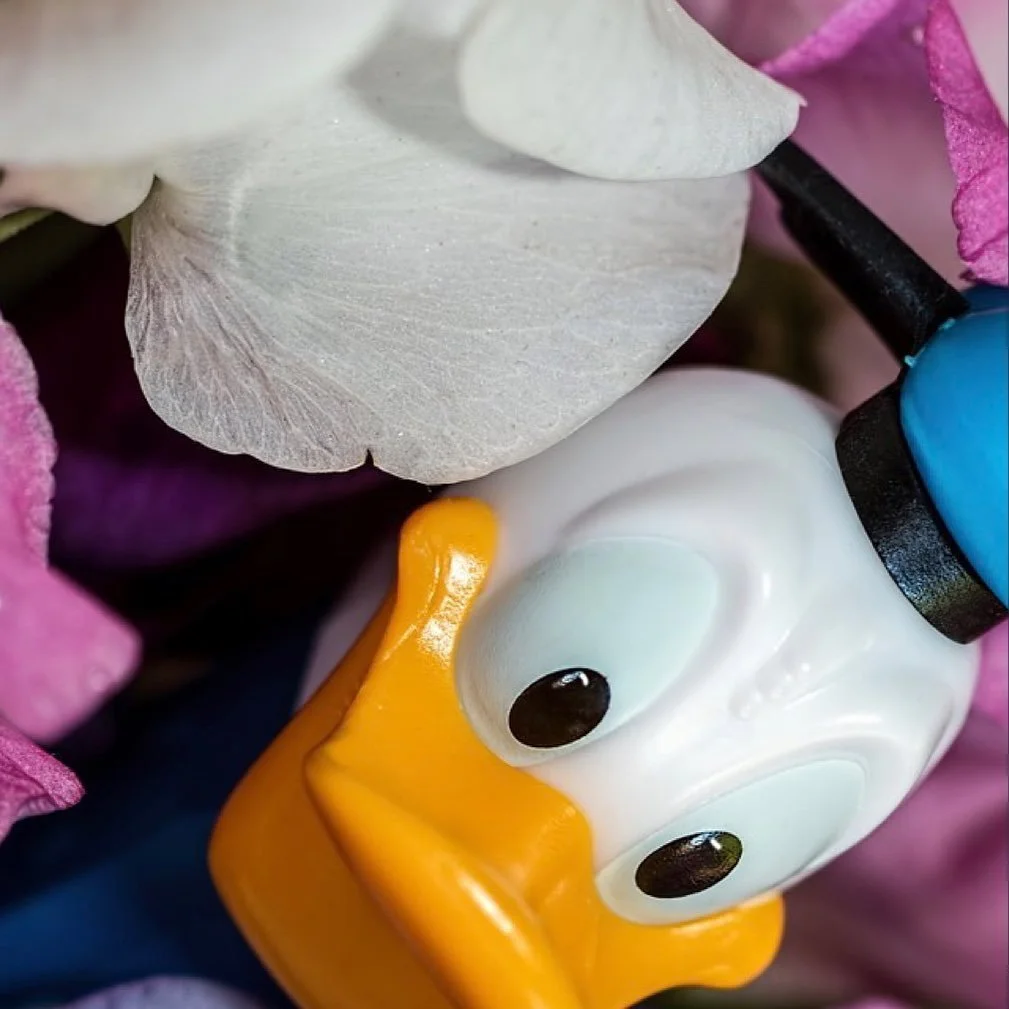 leroy.ttf [2021-01-20T23ː01ː44.000Z] CKSNRk4HoJ_.jpg