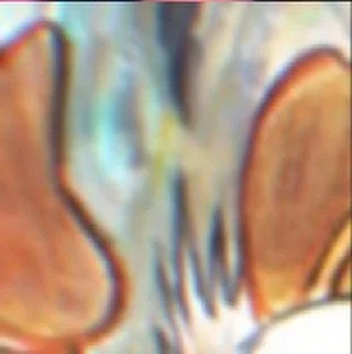 leroy.ttf [2020-11-30T14ː26ː50.000Z] CIN9zrOHbQl.jpg