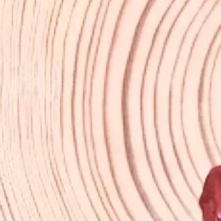 leroy.ttf [2020-02-24T14ː38ː59.000Z] B89AnqYnQZk.jpg