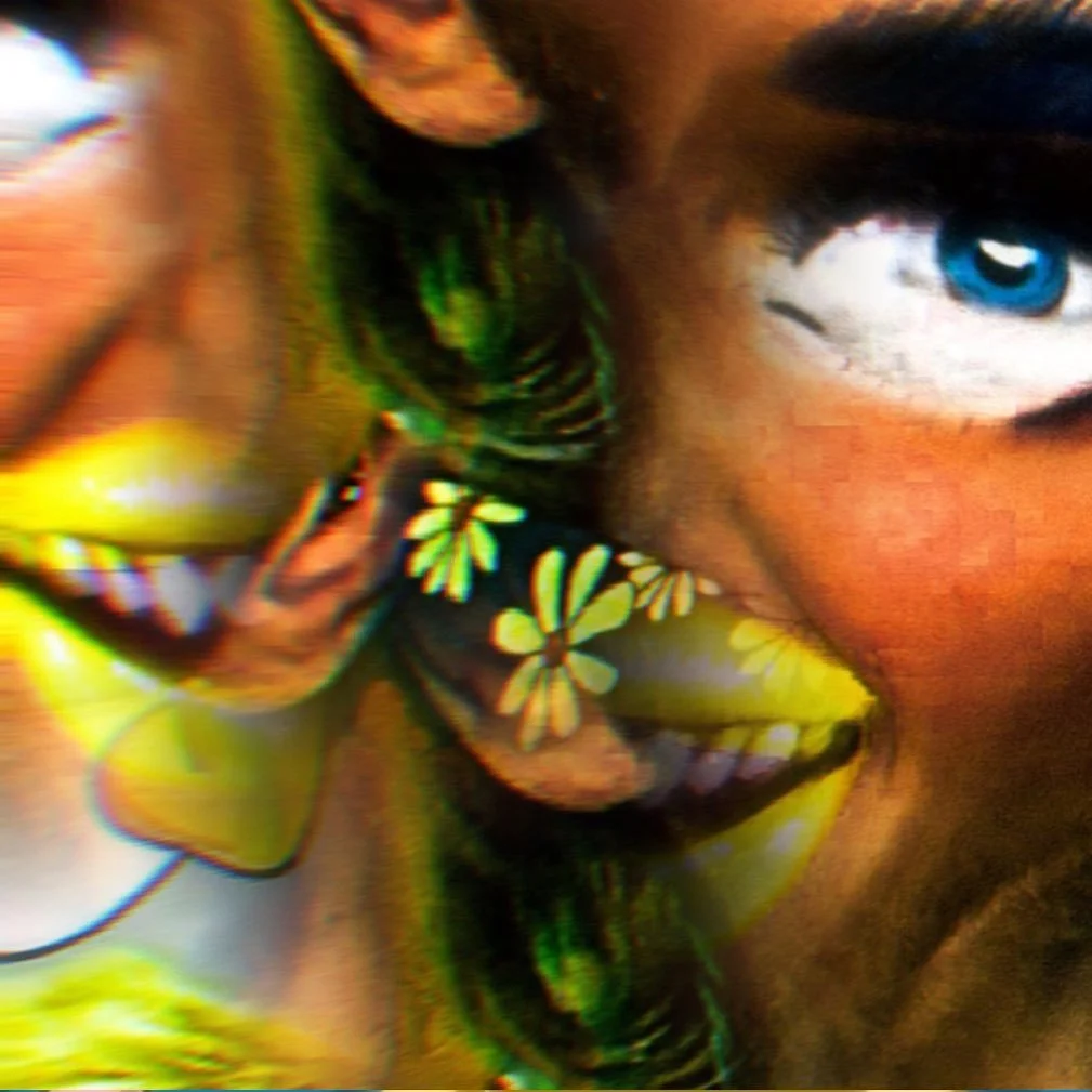 leroy.ttf [2021-01-22T18ː11ː42.000Z] CKW1rAVHTaE.jpg