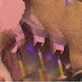 leroy.ttf [2020-12-12T22ː29ː39.000Z] CItumcBHIlM.jpg