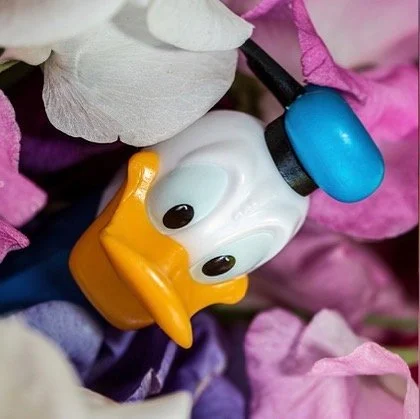 leroy.ttf [2021-01-20T23ː03ː45.000Z] CKSNgUTnIY4.jpg