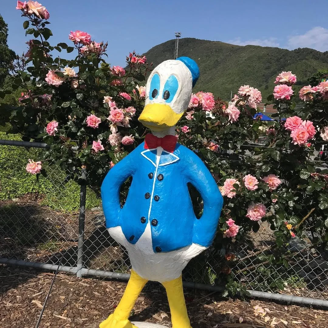 leroy.ttf [2020-07-25T13ː07ː48.000Z] CDEPAzxnztu.jpg