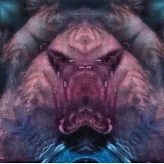 leroy.ttf [2020-11-23T20ː28ː38.000Z] CH8lphSHJUV.jpg