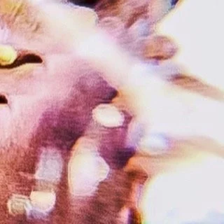 leroy.ttf [2020-09-27T17ː17ː03.000Z] CFpeaXwn4w7.jpg