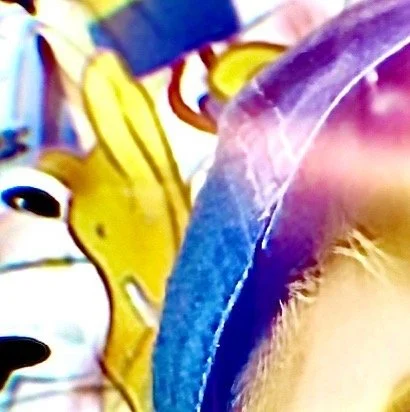 leroy.ttf [2020-09-05T19ː03ː31.000Z] CExBG7qn5-o.jpg