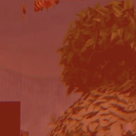 leroy.ttf [2020-05-08T18ː20ː46.000Z] B_780yHnI8F.jpg